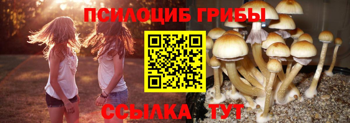 Галлюциногенные грибы Psilocybe  Вход с VPN  Кандалакша  Псилоцибиновые грибы Cubensis 