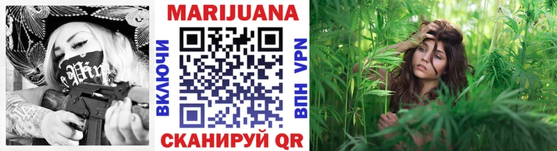 Бошки марихуана OG Kush  что такое   Кандалакша 